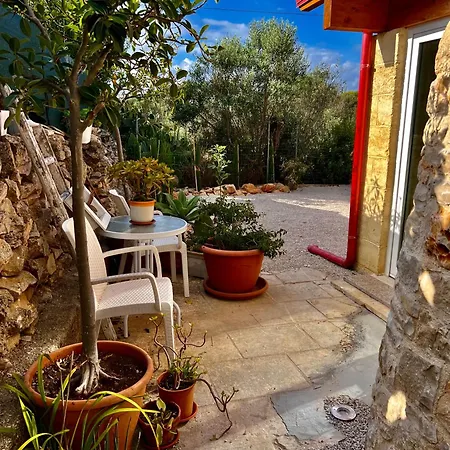 Vakantiehuis Trulli Delle Succulente *