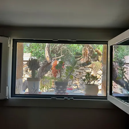 Vakantiehuis Trulli Delle Succulente Capilungo