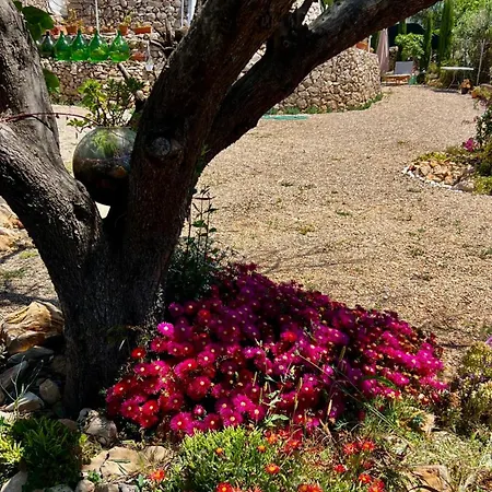 Vakantiehuis Trulli Delle Succulente *