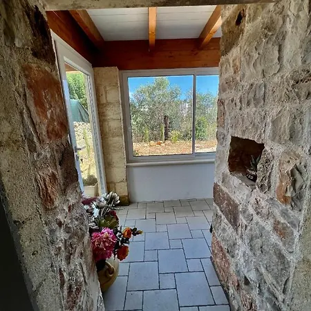 Trulli Delle Succulente *