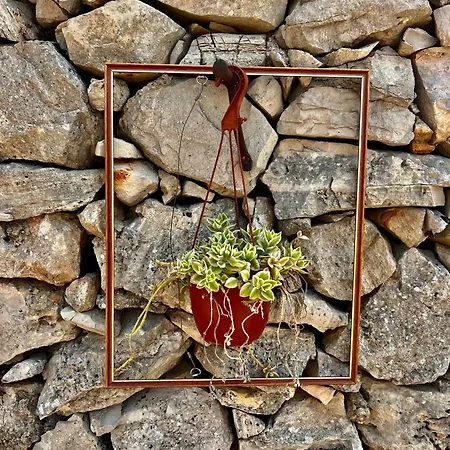 Trulli Delle Succulente * Capilungo