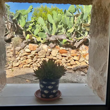 Trulli Delle Succulente *