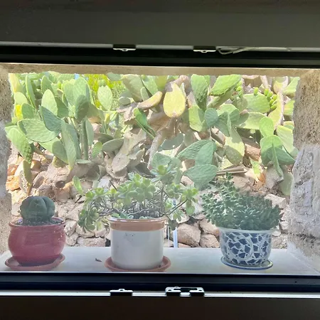 Trulli Delle Succulente Feriehus Capilungo