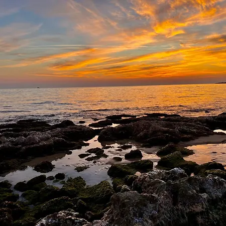 Trulli Delle Succulente Capilungo