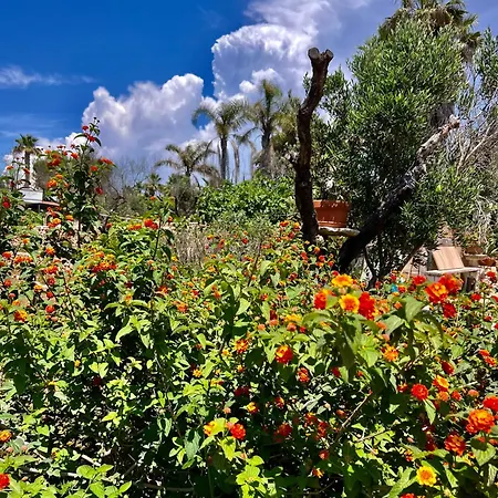 Trulli Delle Succulente Feriehus *