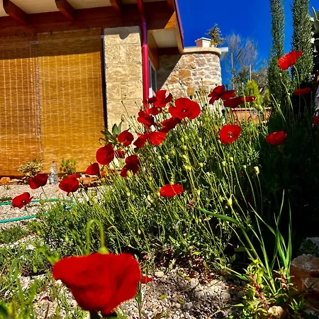 Feriehus Trulli Delle Succulente *