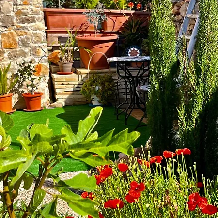 Trulli Delle Succulente * Capilungo