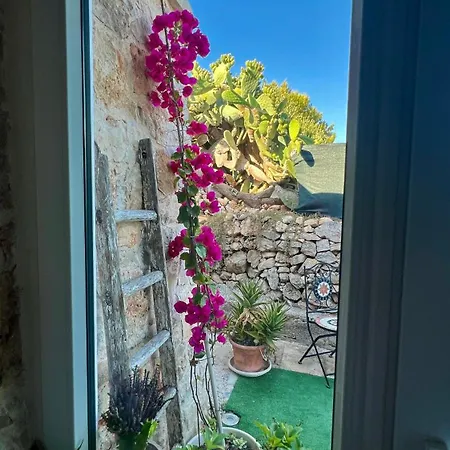 Trulli Delle Succulente * Capilungo