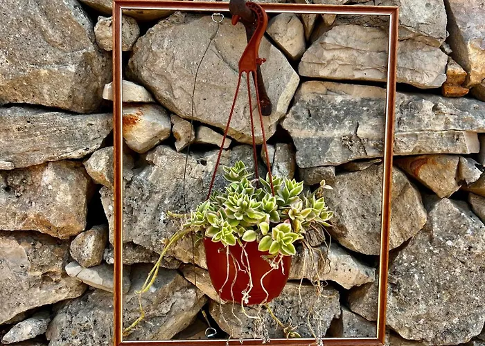 Trulli Delle Succulente * Capilungo