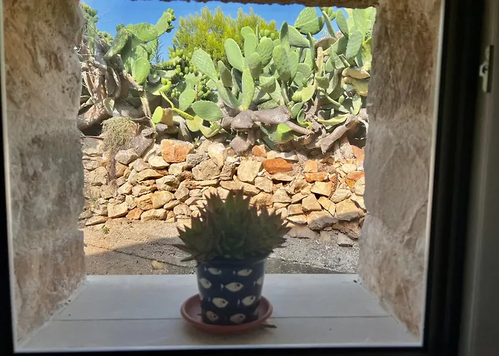 Trulli Delle Succulente *