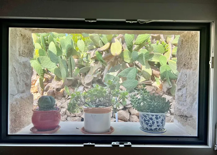 Trulli Delle Succulente Дом отдыха Capilungo