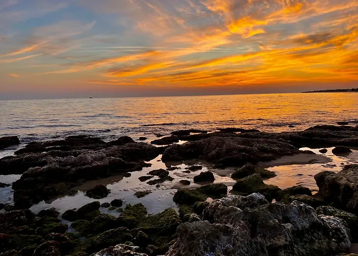 Trulli Delle Succulente Capilungo