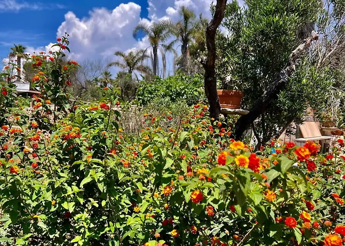 Trulli Delle Succulente 度假居 *