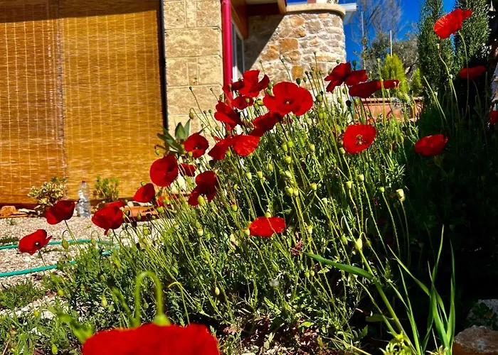 度假居 Trulli Delle Succulente *